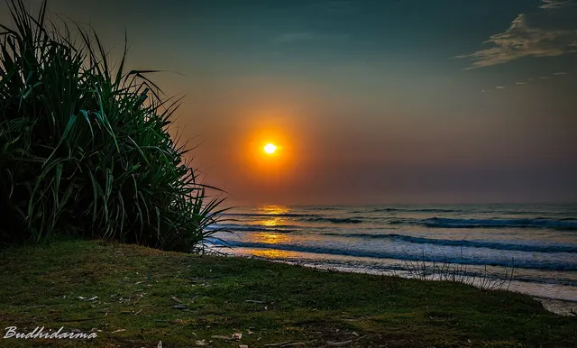 Matahari rendah di atas ombak Pantai Ujung Genteng dengan tumbuhan pesisir di sisi kiri.