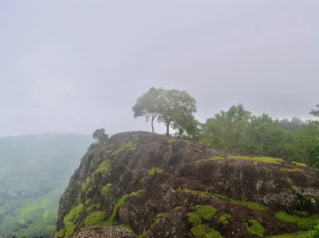 Batu besar, pepohonan dan kabut di Gunung Api Purba Nglanggeran pada foto arsip / Large rocks, trees and mist at Nglanggeran Ancient Volcano in an archive photograph