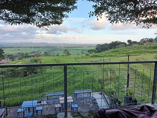 Teras meja Kopi Ampirono menghadap persawahan, April 2025 / Kopi Ampirono dining terrace facing rice fields, April 2025