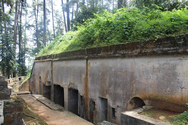 Deretan bukaan benteng di bawah pepohonan Tahura Gunung Kunci, November 2024. / Fortress openings beneath trees at Tahura Gunung Kunci, November 2024.