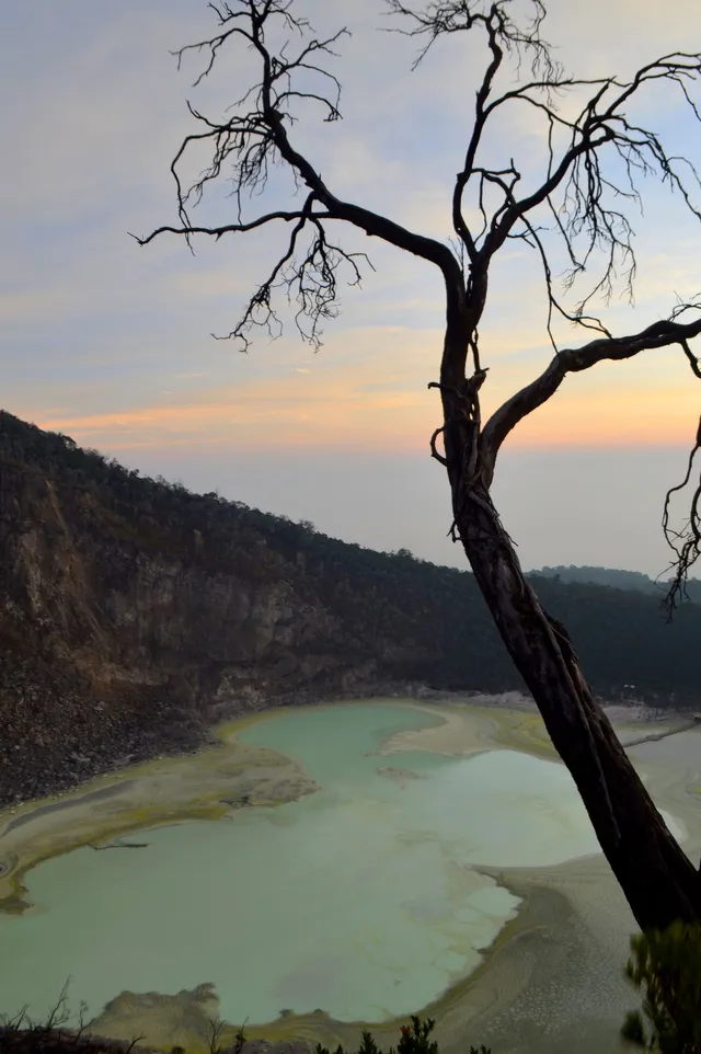 ID: Danau dan lereng Kawah Putih dilihat dari atas dengan batang pohon di depan. EN: Kawah Putih lake and slopes viewed from above, with a tree trunk in the foreground.