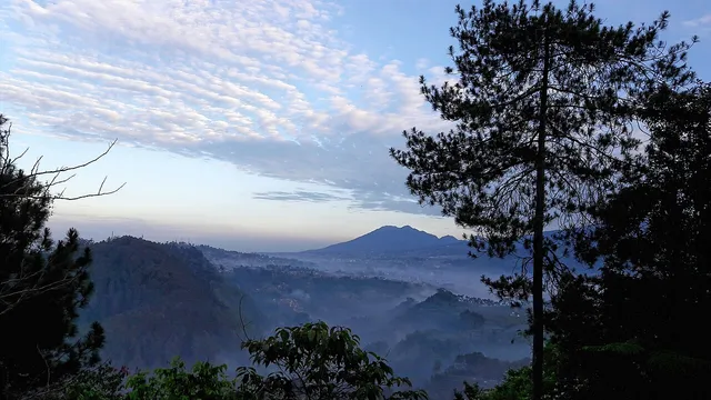 Panorama Tebing Keraton dibingkai cabang pinus. / Pine branches framing the view from Tebing Keraton.