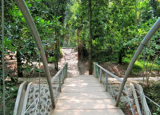 Jembatan dan jalur di bawah pepohonan Tahura Djuanda, Juni 2015. / Bridge and tree-lined path in Tahura Djuanda, June 2015.