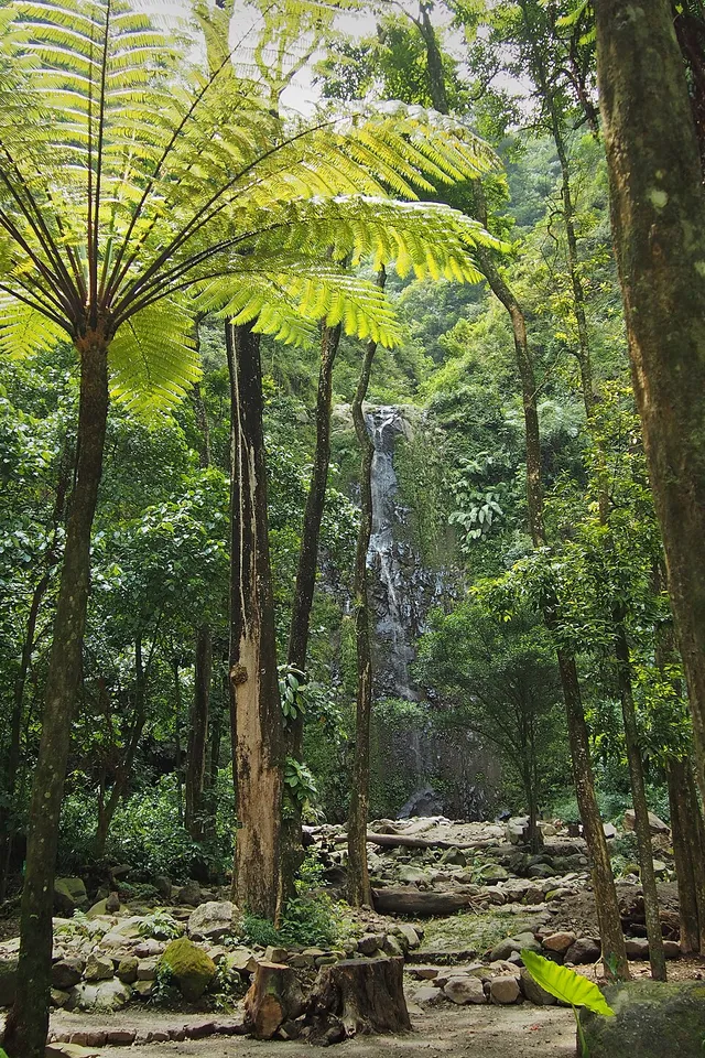 Air terjun Tlogo Muncar di antara pepohonan dan bebatuan, foto arsip 2016 / Tlogo Muncar waterfall among trees and rocks, archive photograph from 2016