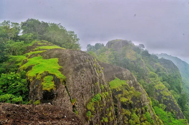 Bongkahan batu dan vegetasi Gunung Api Purba Nglanggeran pada foto arsip / Rock formations and vegetation at Nglanggeran Ancient Volcano in an archive photograph