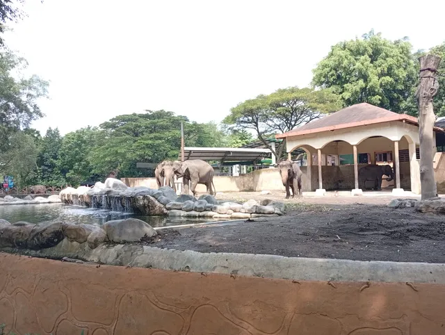 Gajah dan area kandang Gembira Loka Zoo, foto Maret 2026 / Elephants and enclosure at Gembira Loka Zoo, photograph from March 2026