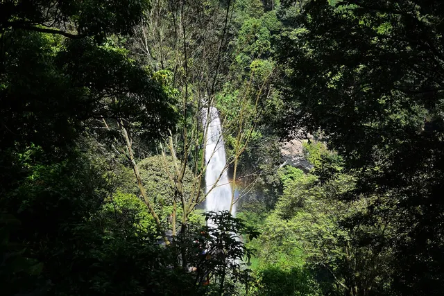 Curug Cimahi terlihat dari kejauhan di antara pepohonan. / Curug Cimahi seen from a distance through the trees.