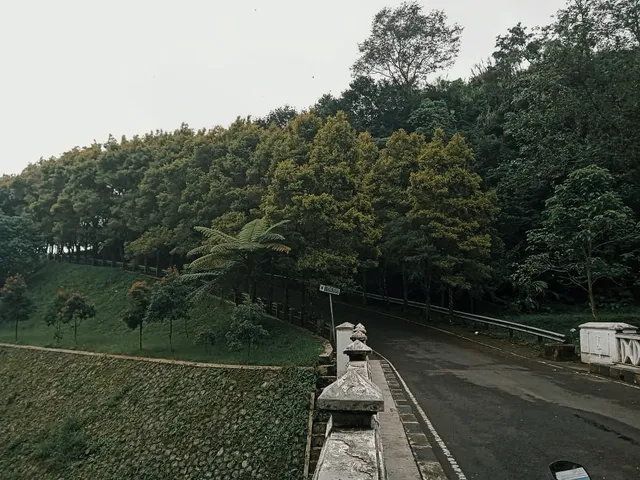 ID: Jalur di antara pepohonan Kebun Raya Cibodas. EN: A path among trees at Cibodas Botanical Garden.