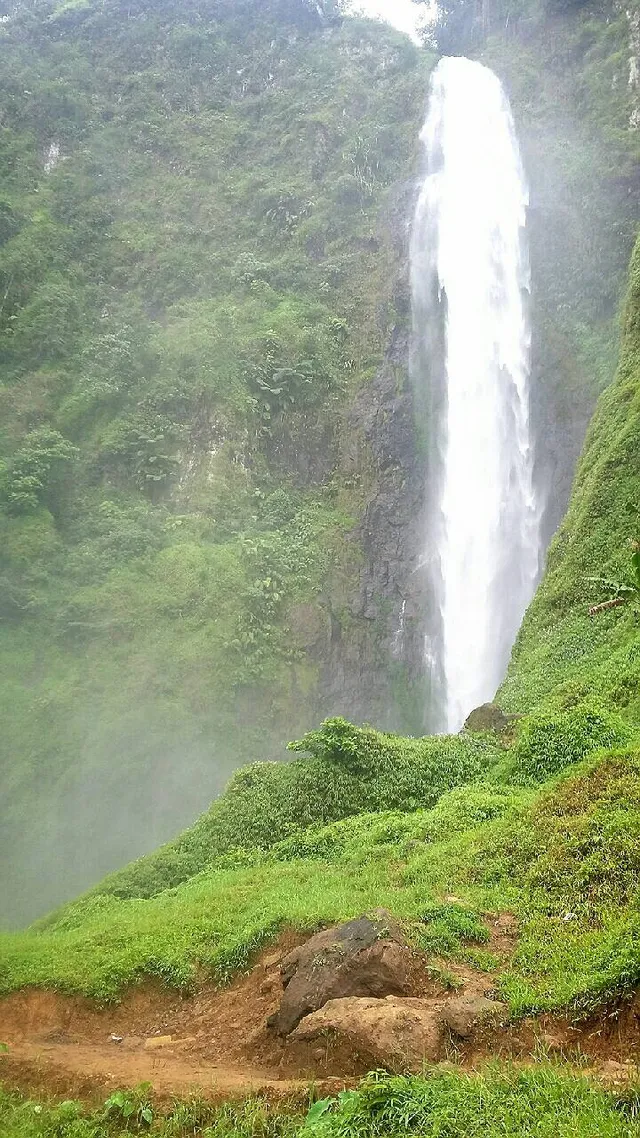 Air terjun Curug Citambur terlihat dari area rumput di bawah tebing hijau