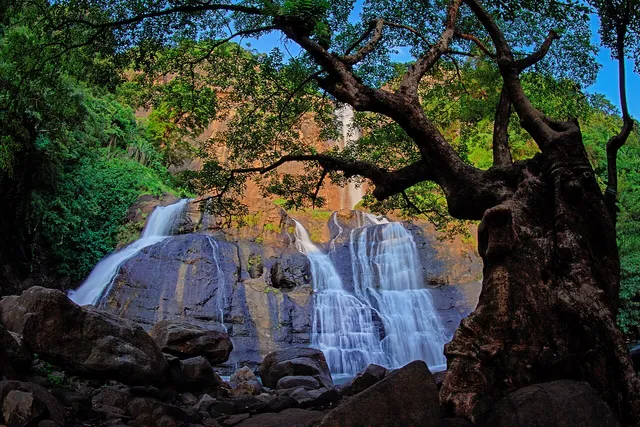 Curug Cikanteh dibingkai pohon besar dan bebatuan, November 2020. / Curug Cikanteh framed by a large tree and rocks, November 2020.