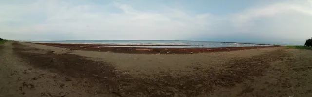 Panorama pasir Pantai Karangsong menghadap Laut Jawa.