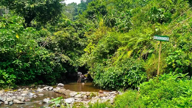 Jalur sungai dan papan Curug Nangka menuju air terjun di tengah vegetasi