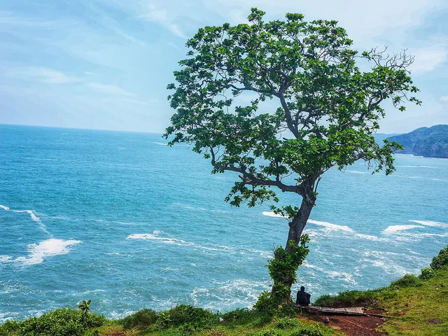 Pohon pesisir dan laut di Pantai Kesirat, Maret 2017 / Coastal tree and sea at Pantai Kesirat, March 2017