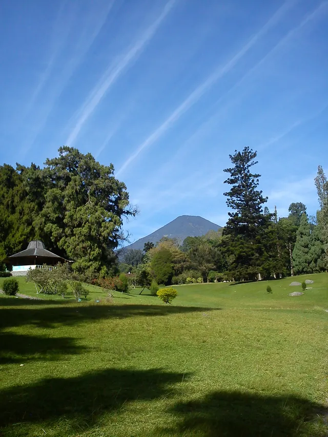 ID: Hamparan rumput dan pepohonan Kebun Raya Cibodas berlatar Gunung Pangrango. EN: Lawn and trees at Cibodas Botanical Garden with Mount Pangrango behind.