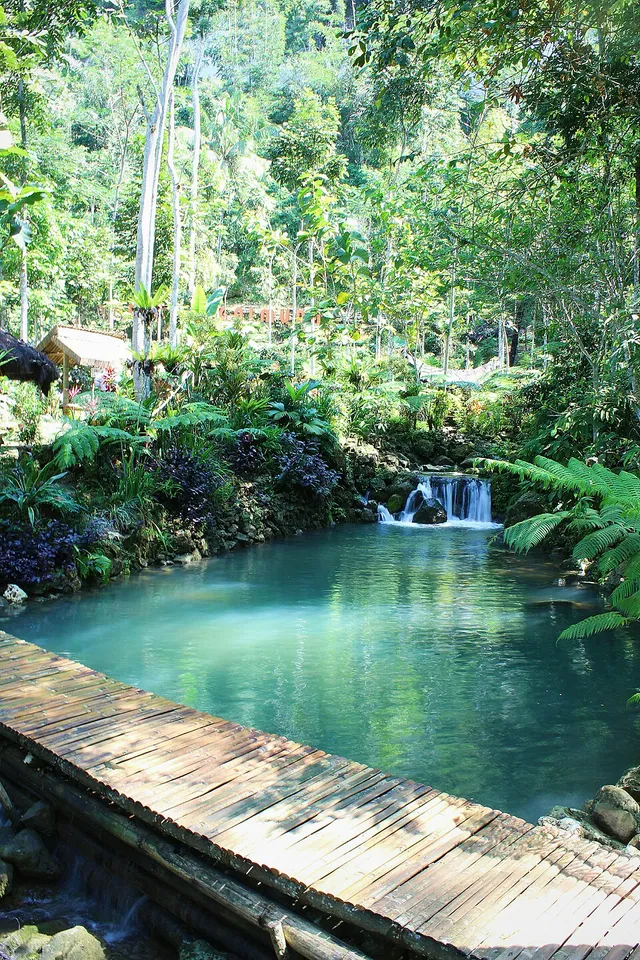 Kolam, aliran kecil dan vegetasi Taman Sungai Mudal, foto arsip 2016 / Pool, small cascade and vegetation at Taman Sungai Mudal, archive photograph from 2016
