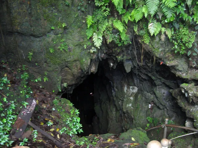 Mulut Goa Kiskendo Kulon Progo dengan batuan dan vegetasi, foto arsip 2011 / Kiskendo Cave mouth in Kulon Progo with rock and vegetation, archive photograph from 2011