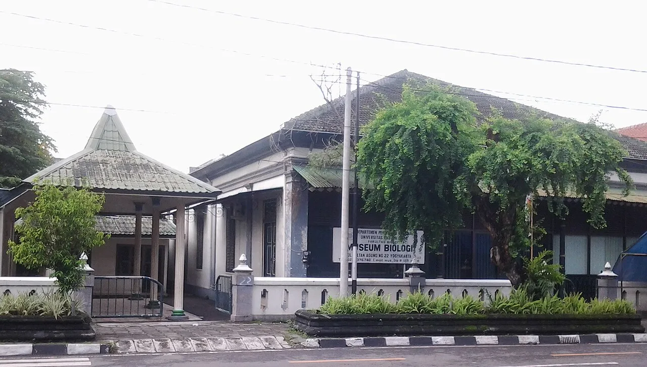Media utama