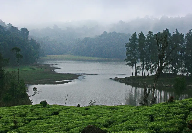 Situ Patenggang dan kebun teh dalam suasana berkabut. / Situ Patenggang and tea fields in mist.